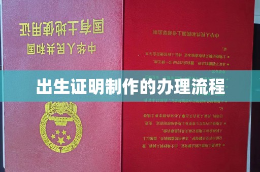 通榆出生证明制作的办理流程