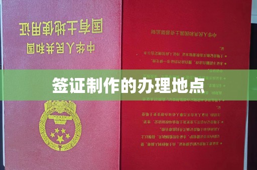 临泉签证制作的办理地点